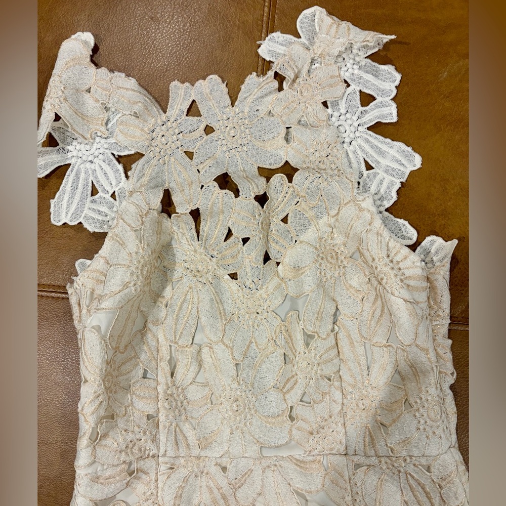 SAYLOR  Cream Floral Lace Backless Halter Dress - Picture 3 of 13
